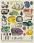 Mobile Preview: "Mineralien" Cavallini Vintage Puzzle, 1000 Teile